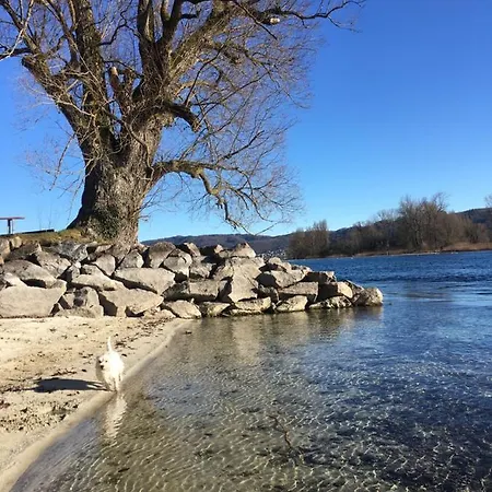 Am Bodensee أونينغين